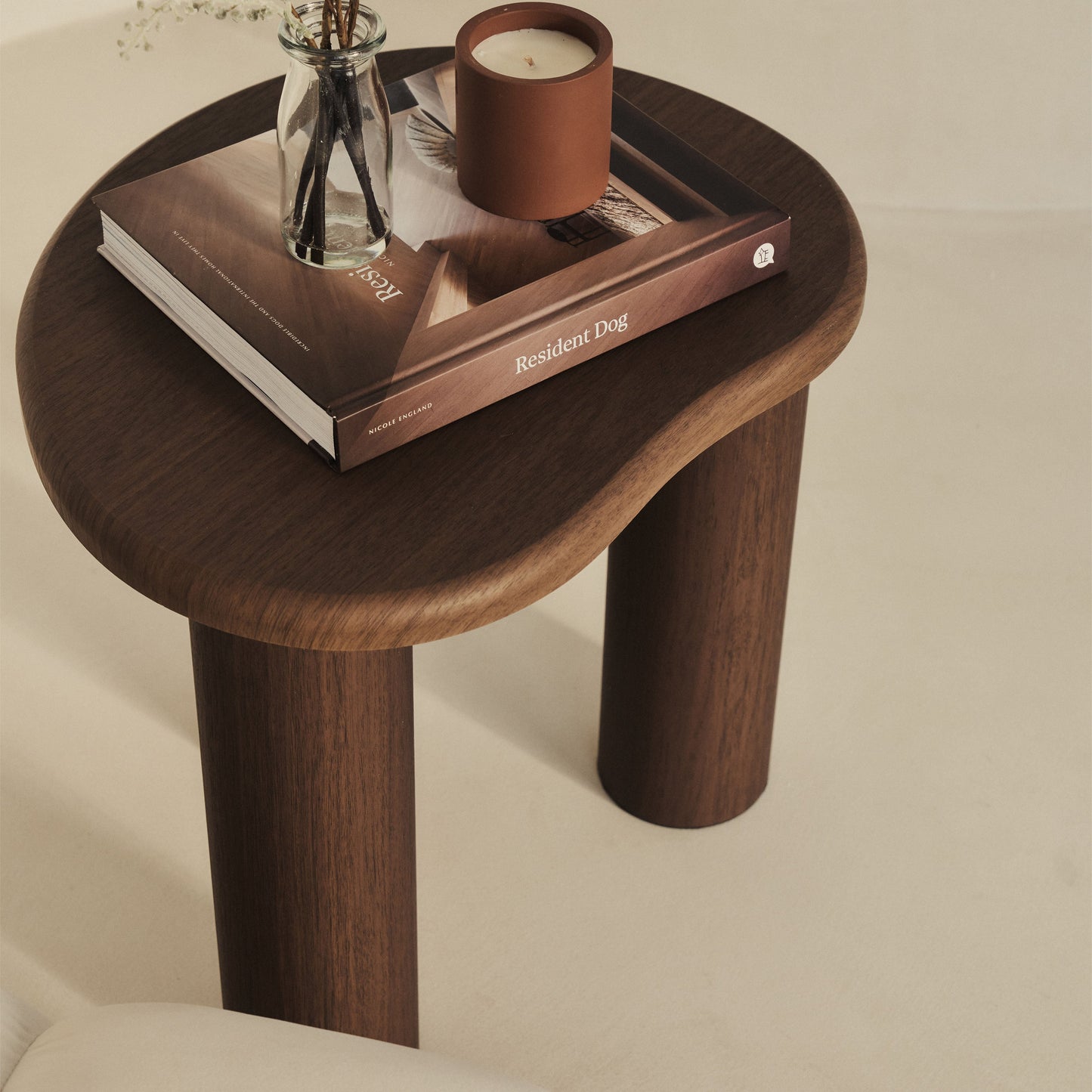 Savanna - Table d'appoint en bois irrégulier foncé