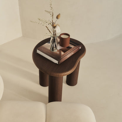 Savanna - Table d'appoint en bois irrégulier foncé